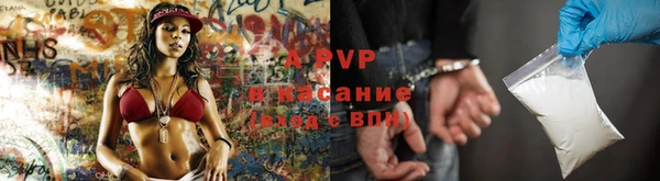 дживик Бронницы