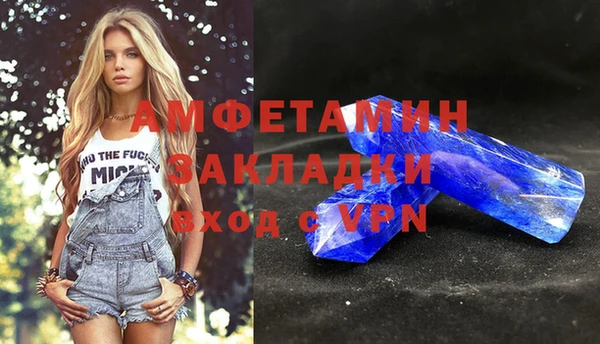дживик Бронницы