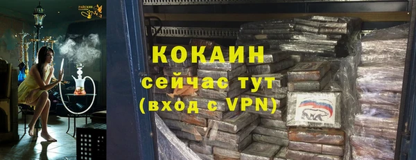 дживик Бронницы