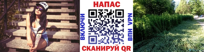 купить наркотики цена  даркнет клад  hydra tor  Марихуана марихуана  Нариманов 
